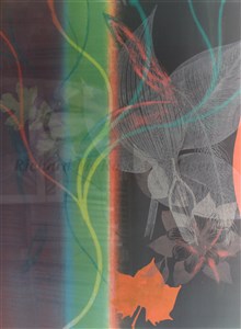 Image description is not available for 2015.022